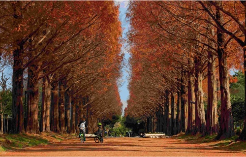 平塚市総合公園