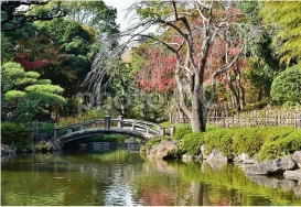 平塚市総合公園